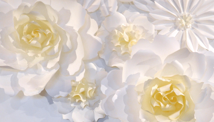 お花の紙のディスプレイ